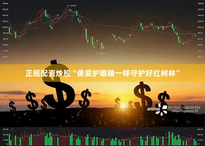 正规配资炒股“像爱护眼睛一样守护好红树林”