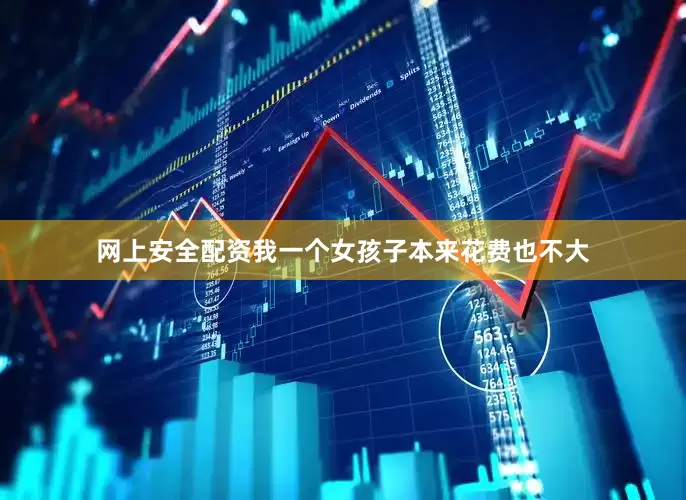 网上安全配资我一个女孩子本来花费也不大
