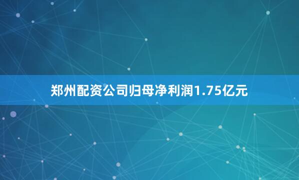 郑州配资公司归母净利润1.75亿元