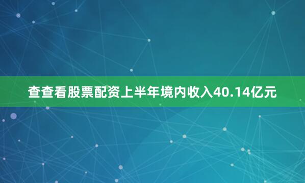 查查看股票配资上半年境内收入40.14亿元